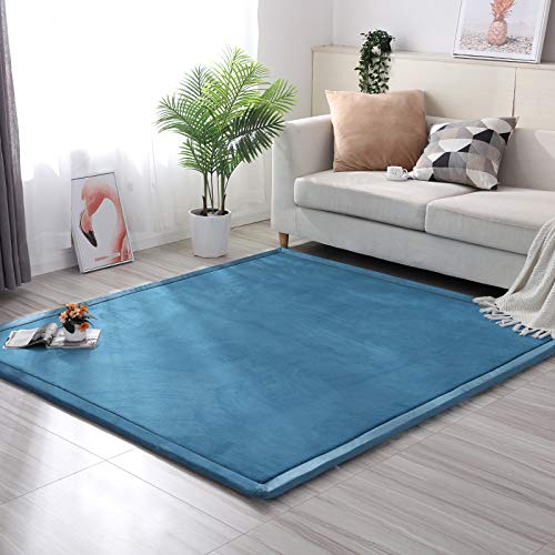 Loartee Coral Velvet Crawling Rugs & Area Rugs (6.0'x 6'8", Blue) for Toddler Children Play Mat & Yoga Mat Exercise Pads