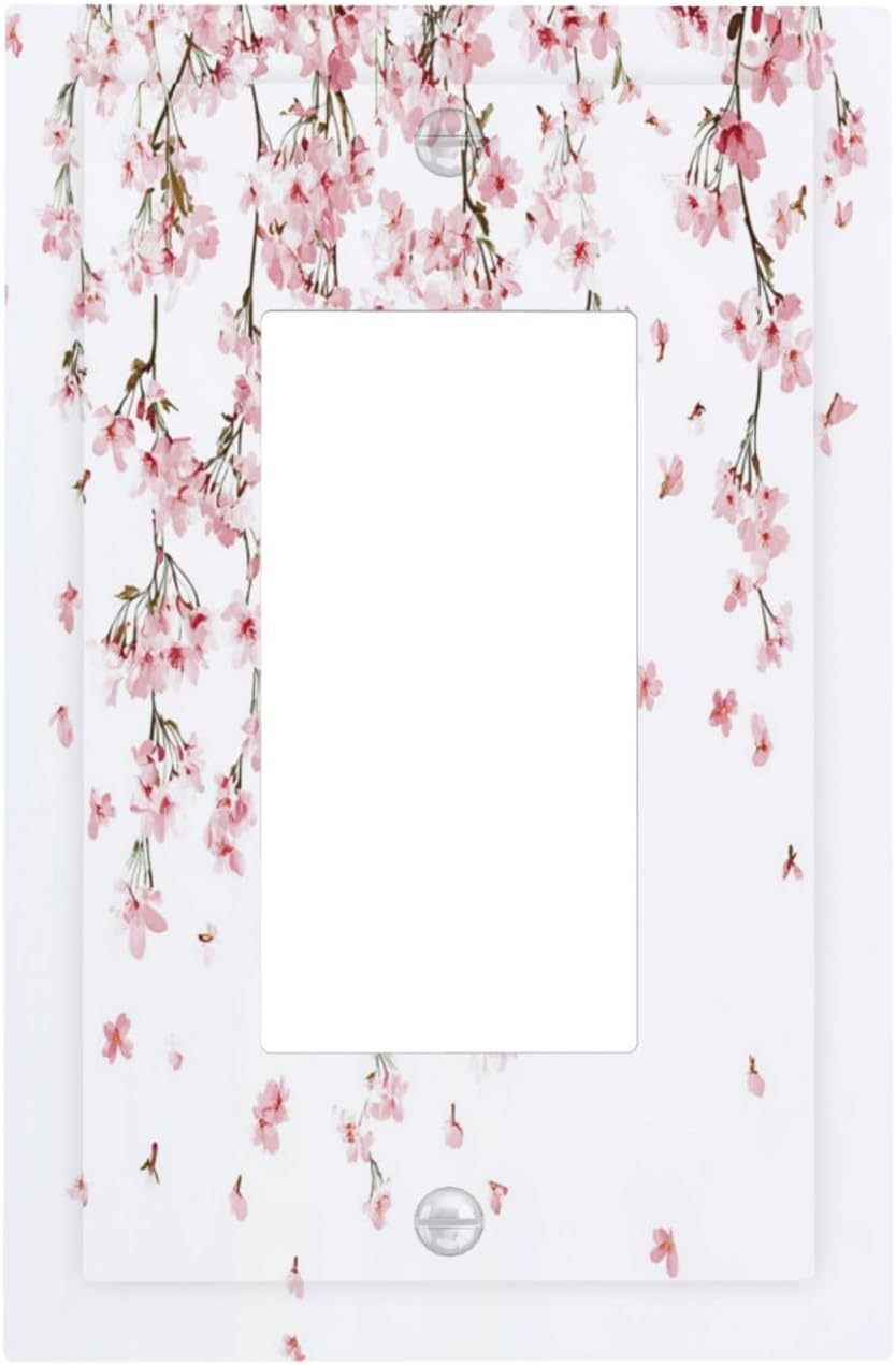 Wall Plates & Accessories