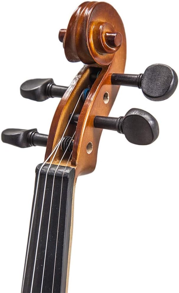 Paititi 4/4 Full Size Artist-100 Student Violin Starter Kit with Brazilwood Bow Lightweight Case, Extra Strings, Rosin and Fingerchart (4/4)