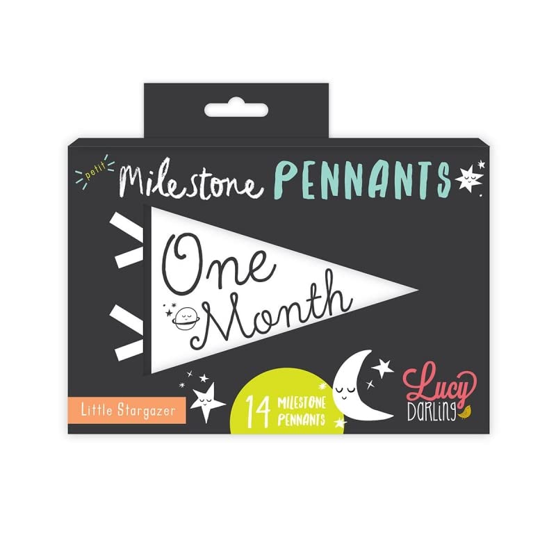 Lucy Darling Petit Milestone Pennants – Baby Monthly Milestone Pennant Flags – Newborn Photo Props & Felt Nursery Decor – Keepsake Banner Set for Baby Photos – Little Stargazer