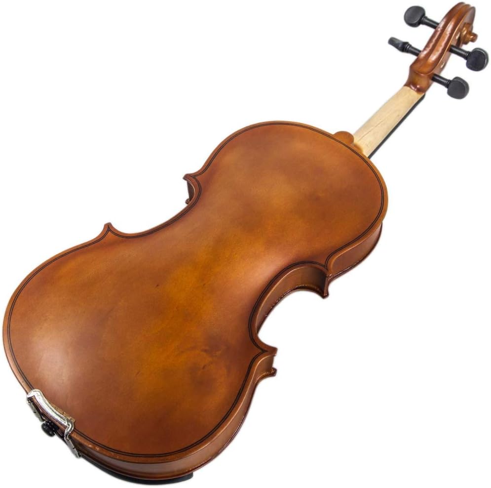Paititi Artist-100 Student Violin Starter Kit with Brazilwood Bow Lightweight Case, Extra Strings, Rosin and Fingerchart (3/4)