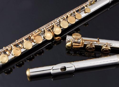 Glory Closed Hole C Flute With Case, Tuning Rod and Cloth and Gloves, Nickel/Laquer