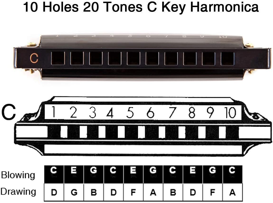EastRock Blues Harmonica 10 Hole C Key with Case, Mouth Organ Harp, Diatonic Harmonica for Beginner, Adult, Kids, Professional, Students, Friends, Gifts (Red)