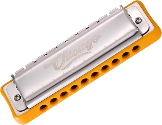 Harmonica JDR Blues key of E 10 Holes 20 Tones Harps Armonica for Adults Kids Professional Beginners Mini Mouth Organ with Case Chicago