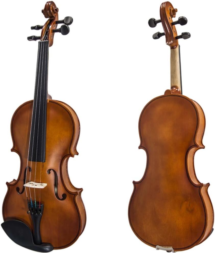 Paititi Artist-100 Student Violin Starter Kit with Brazilwood Bow Lightweight Case, Extra Strings, Rosin and Fingerchart (1/2)