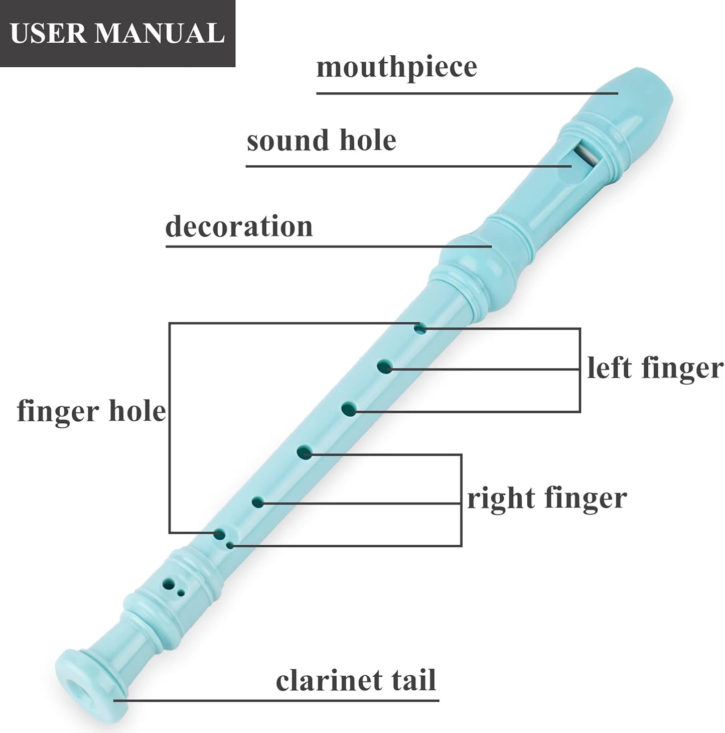 Recorder Instrument for Beginner Kids Adults,8-Hole Soprano Descant Recorder Music Flute with with Cleaning Rod & Leather Case For School Student Home Entertainment(2-Carved Light Blue)