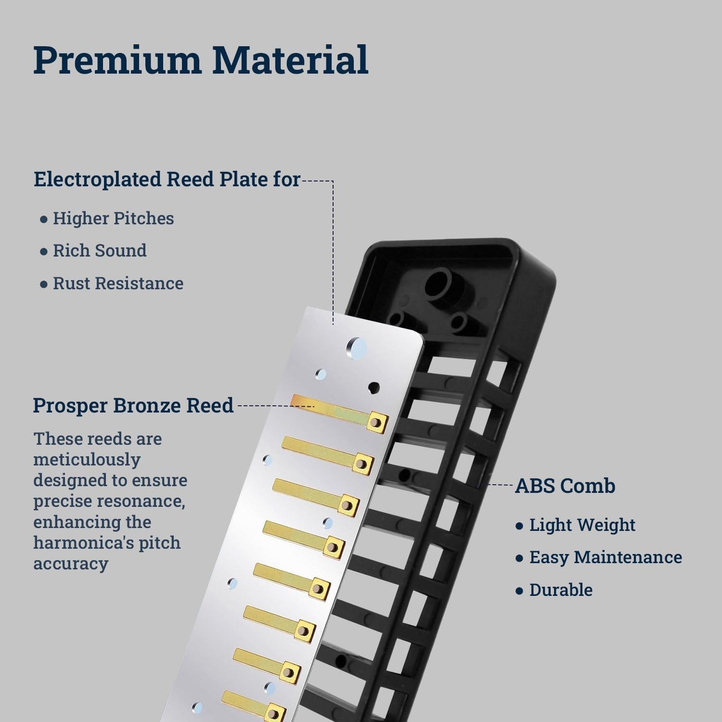 Harmo Polar Diatonic Harmonica Key of F - 10 Holes 20 Notes, Blues Harp Mouth Organ With Case, Phosphor Bronze Reeds, Suitable for All Genres, Harmonica for Kids, Adult, Beginners & Professionals