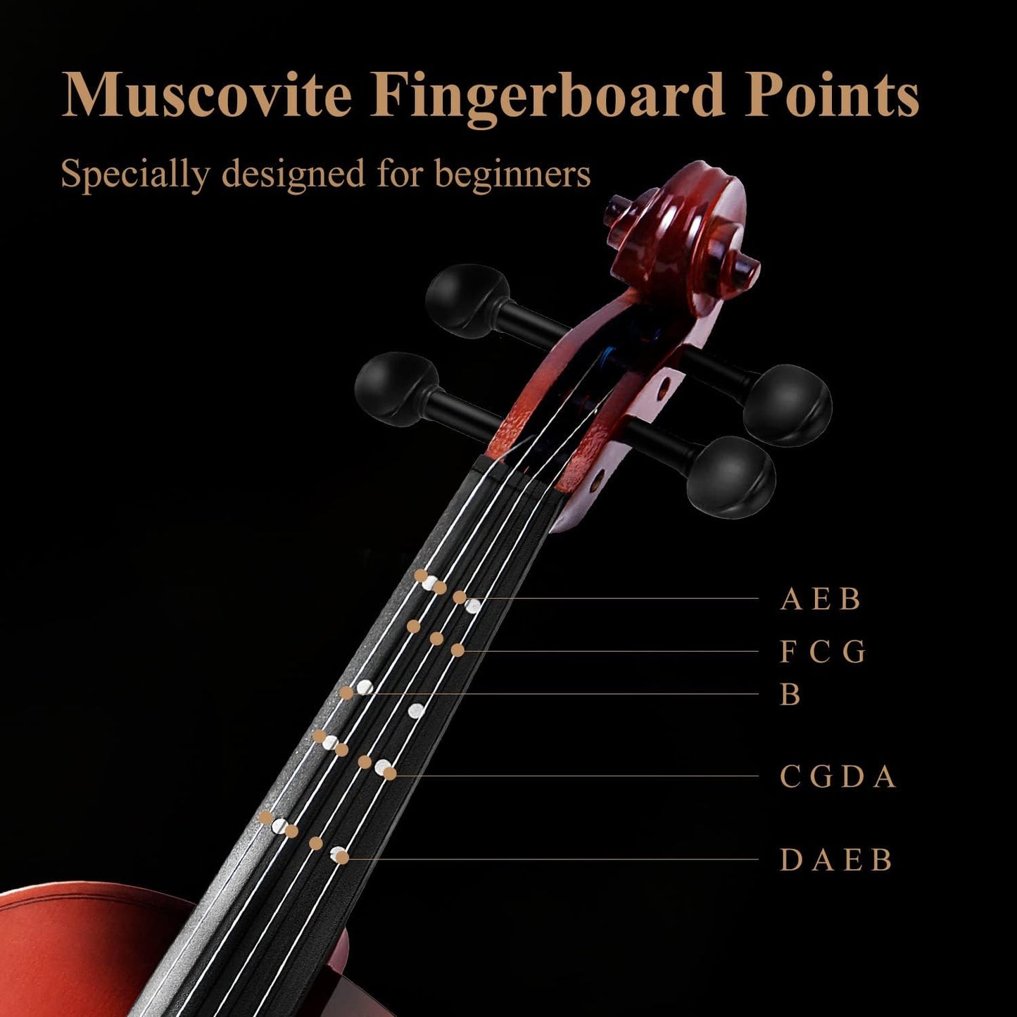 Eastar Violin 4/4 Full Size for Adults, Violin Set for Beginners with Hard Case, Rosin, Shoulder Rest, Bow, and Extra Strings (Imprinted Finger Guide on Fingerboard), EVA-2