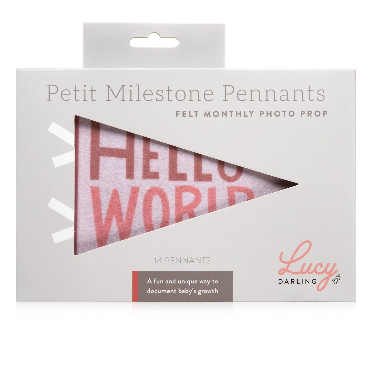 Lucy Darling Petit Milestone Pennants – Baby Monthly Milestone Pennant Flags – Newborn Photo Props & Felt Nursery Decor – Keepsake Banner Set for Baby Photos - Blushing Meadow