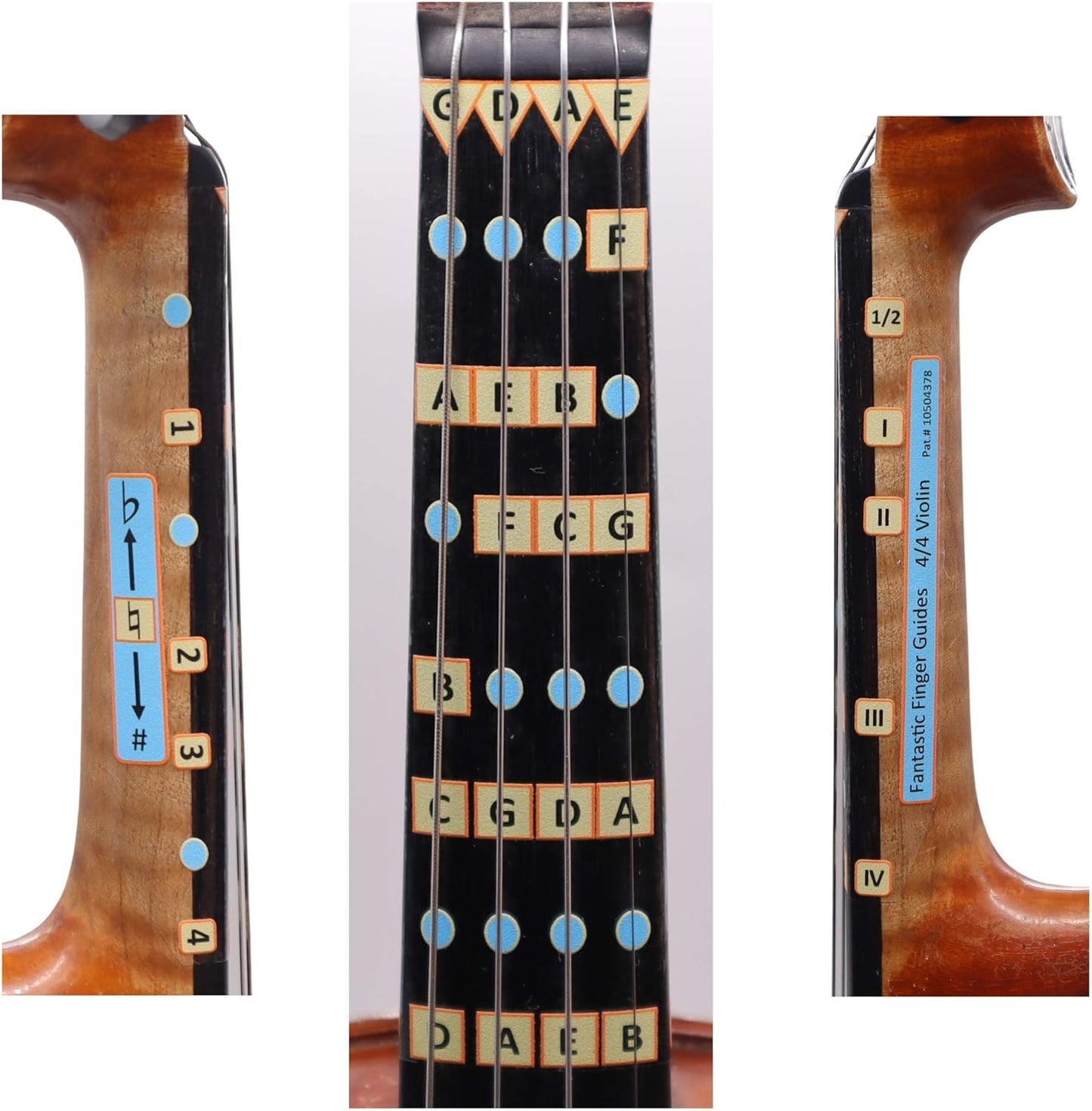 Fantastic Finger Guide for Violins Kids/Adult Beginner | Stringed Musical Instruments | Fingerboard and Fretboard Stickers for Learning All Notes | Play or Fiddle (1/4)