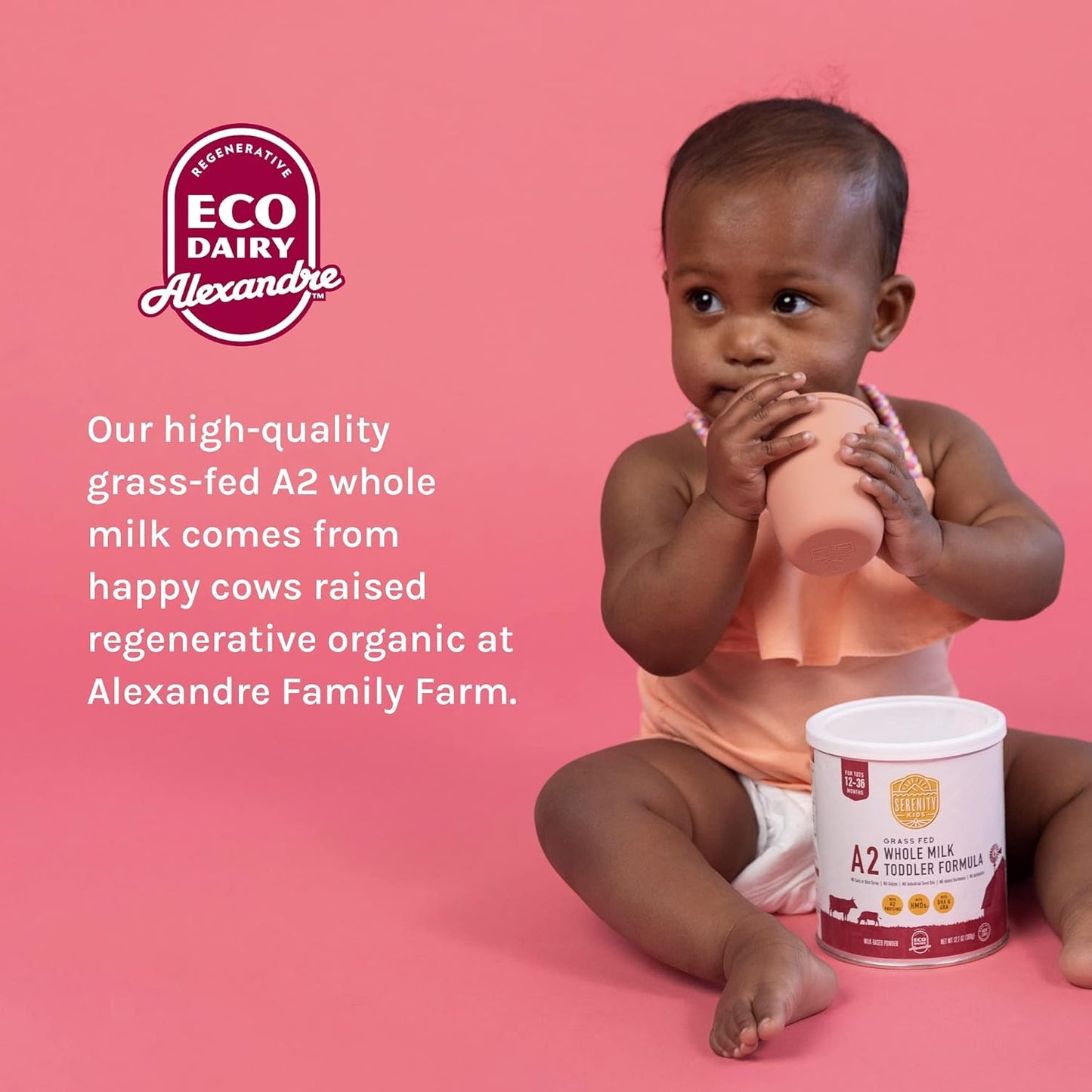 Serenity Kids 12+ Months Toddler Formula with Grass-Fed A2 Milk Powder - Organic Powdered Milk - Easy to Digest & Prebiotic Boost - DHA & ARA Support - 12.7 Oz, 6 Pack