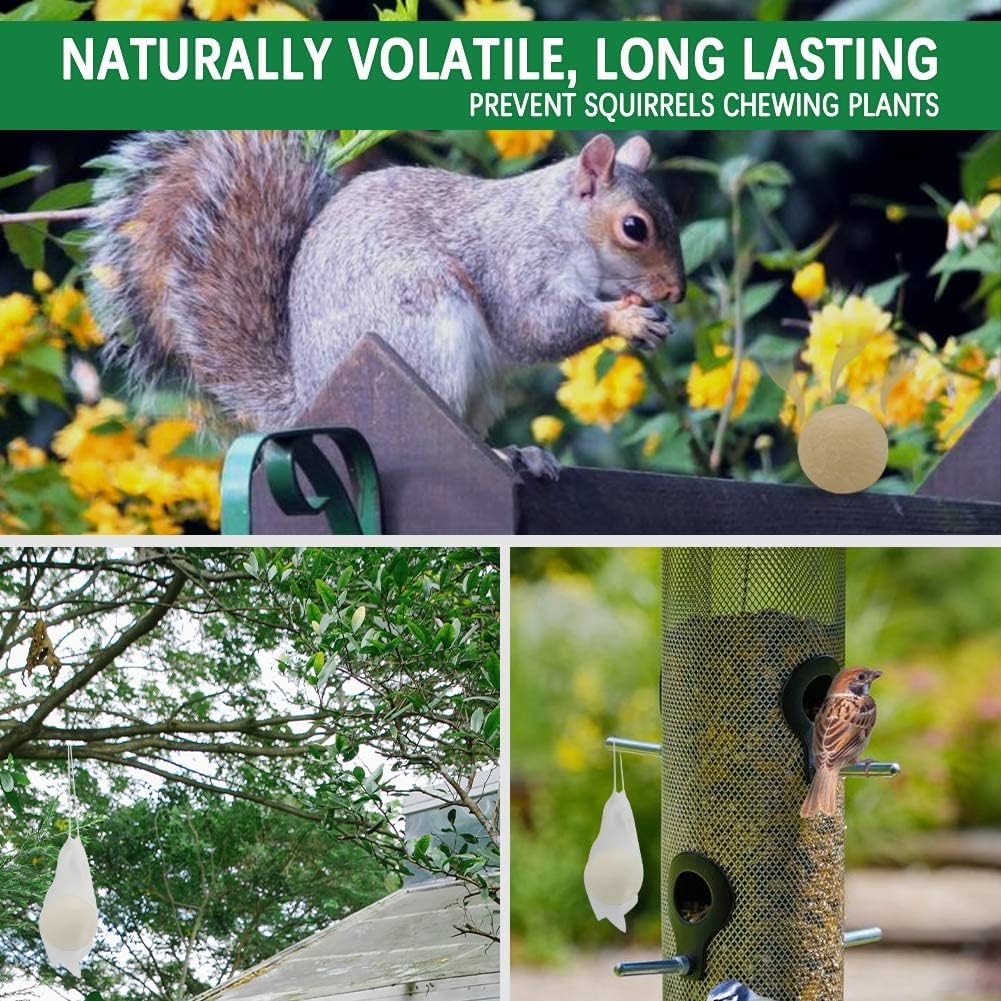 Squirrel Repellent Outdoor, Chipmunk Repellent for Attic/Garden/Bird Feeders/Plants/Cars, Deterrent Squirrels, Keep Chipmunks Away-Pack of 12