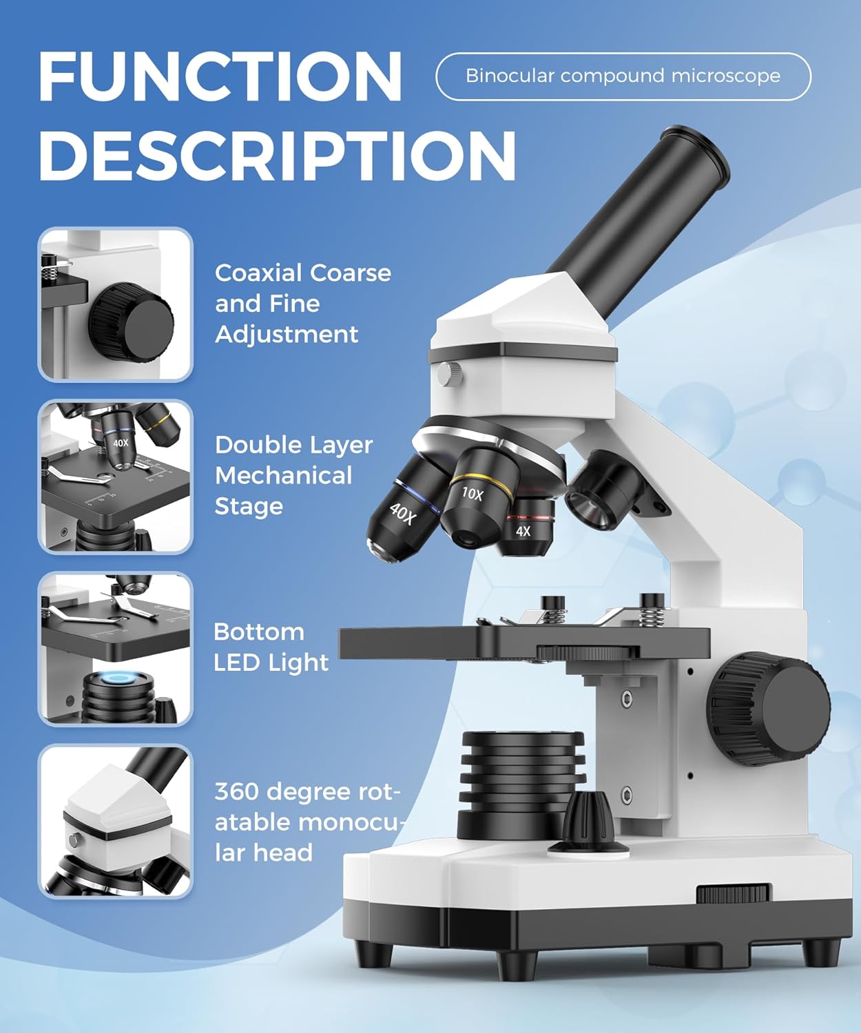 Compound Microscope for Adults & Kids - 100X-2000X High-Power Biological Microscope for Students, School Lab & Home Education, with Slides Set & Phone Adapter (White)
