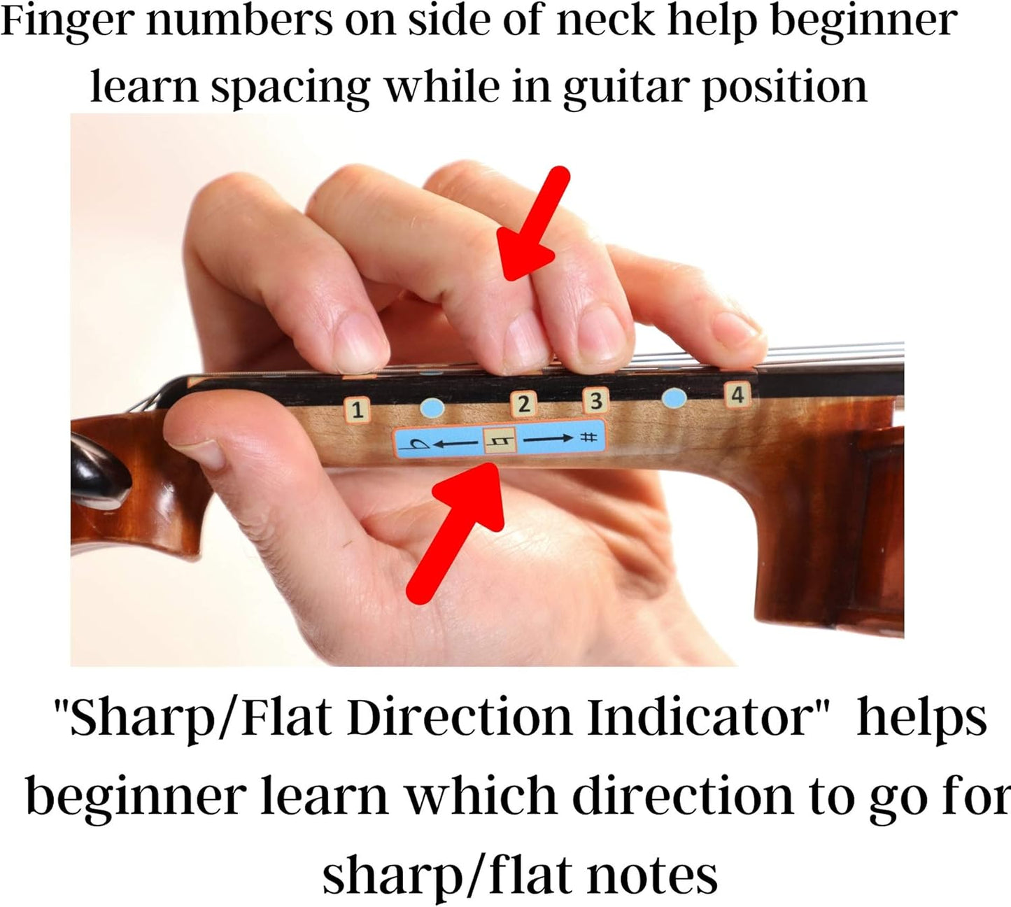 Fantastic Finger Guide for Violins Kids/Adult Beginner | Stringed Musical Instruments | Fingerboard and Fretboard Stickers for Learning All Notes | Play or Fiddle, 4/4-Size