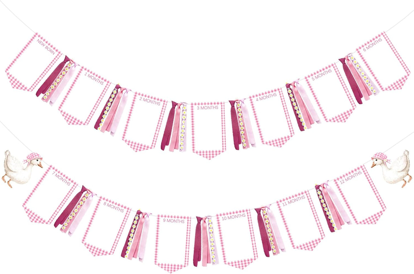 Pink One Silly Goose 1st Birthday Photo Banner Garland from Newborn to 12 Months Paper Photo Banner with Gradient Pink Ribbon for Monthly Milestones Baby Girl First Birthday Party Decorations Supplies