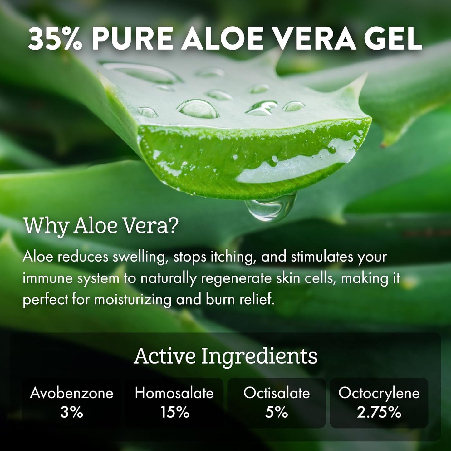 ALOE UP Sport Continuous Spray Sunscreen SPF 50 - Broad Spectrum UVA/UVB Sunscreen Protector for Face and Body - With Aloe Vera Gel - Fast Absorbing Sheer Formula - Reef Safe - Fragrance-Free - 6 Oz