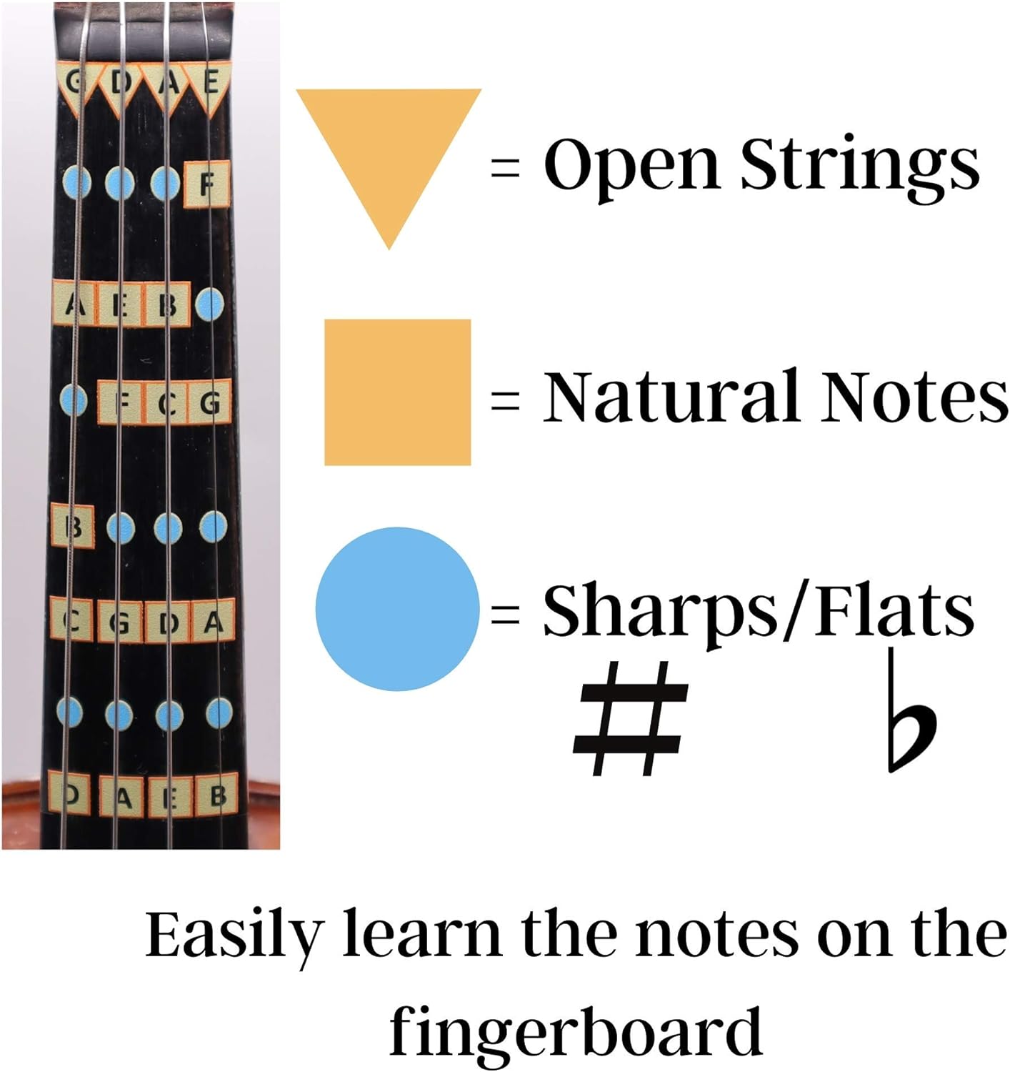 Fantastic Finger Guide for Violins Kids/Adult Beginner | Stringed Musical Instruments | Fingerboard and Fretboard Stickers for Learning All Notes | Play or Fiddle (3/4)
