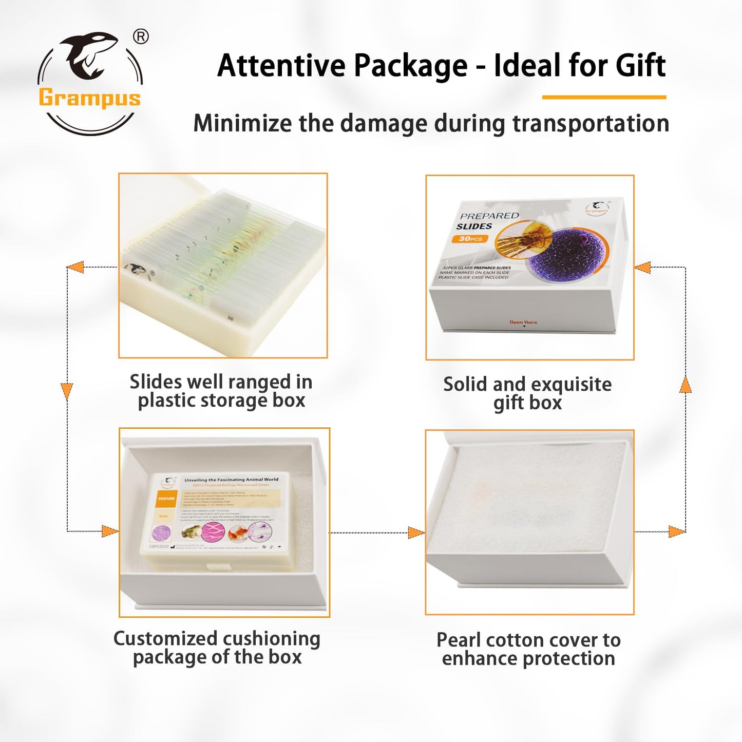 30 Prepared Microscope Slides with Specimens for Kids Students - Histology, for Biological Science Lab, Children's Science Education, Homeschooling Use
