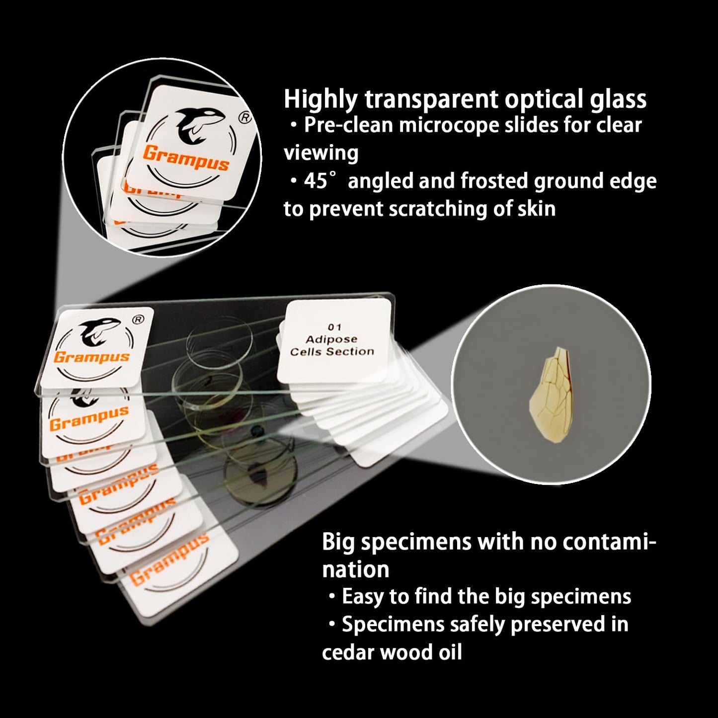 30 Prepared Microscope Slides with Specimens for Kids Students - Animals Plants Insects Microorganism, for Biological Science Lab, Children's Science Education, Homeschool