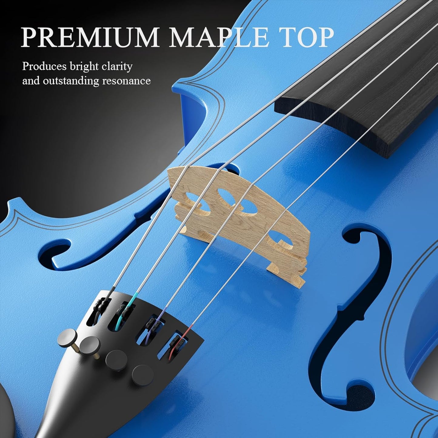 4/4 Beginner Violin Kit for Adults, Complete Full Size Violin Set with Portable Case, Bow, Rosin, Dark Blue