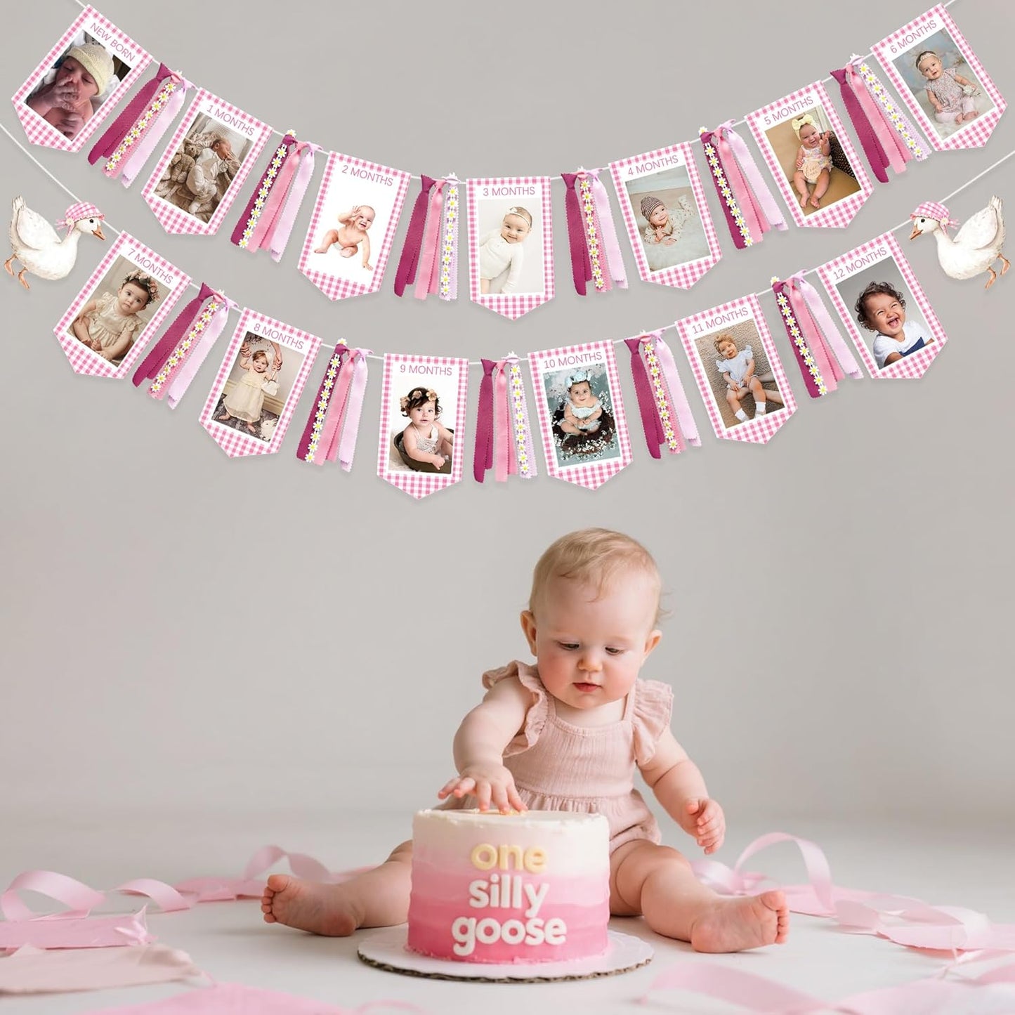 Pink One Silly Goose 1st Birthday Photo Banner Garland from Newborn to 12 Months Paper Photo Banner with Gradient Pink Ribbon for Monthly Milestones Baby Girl First Birthday Party Decorations Supplies
