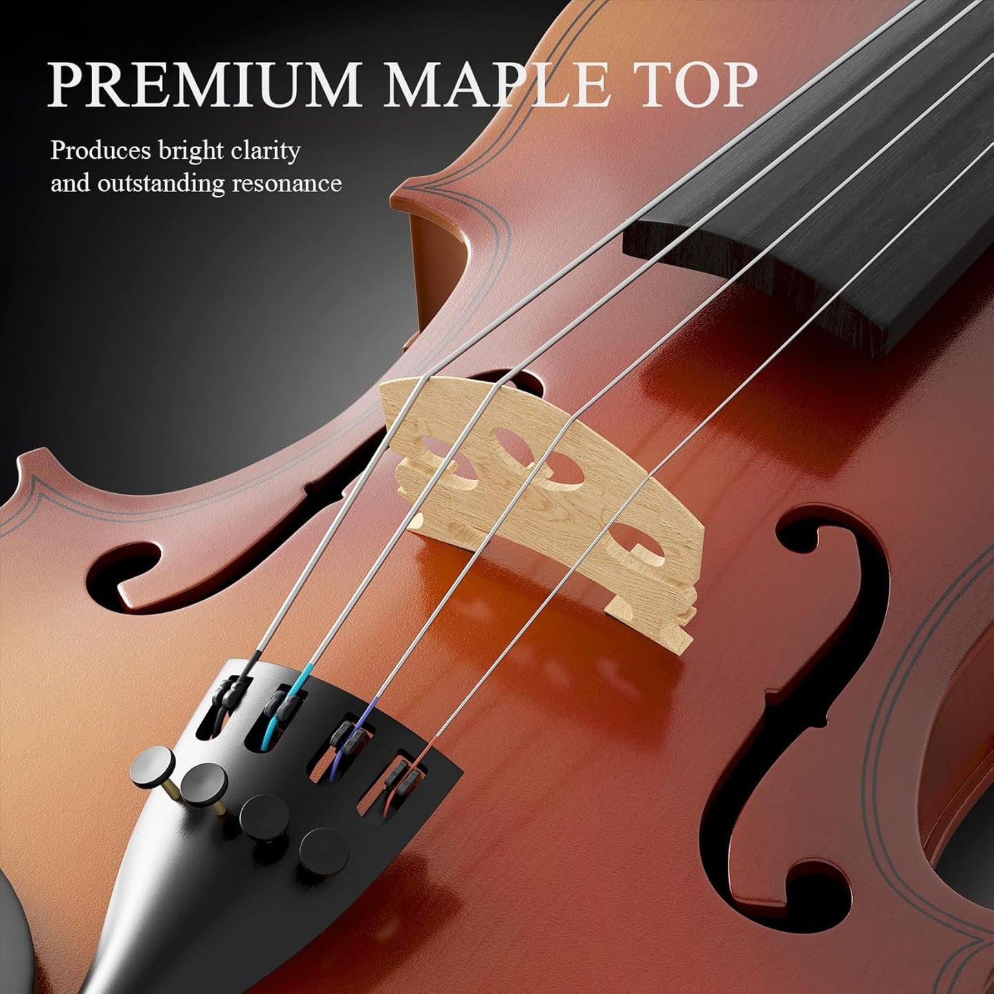 4/4 Beginner Violin Kit for Adults, Complete Full Size Violin Set with Portable Case, Bow, Rosin
