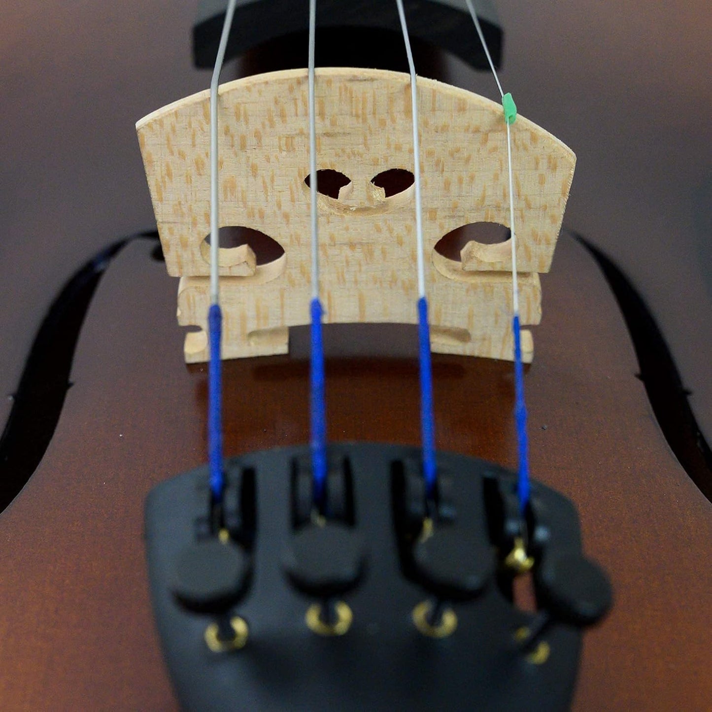 Bunnel Premier Violin Outfit 1/2 Size - Carrying Case and Accessories Included — Solid Maple Wood and Ebony Fittings By Kennedy Violins